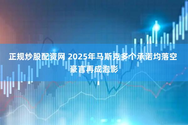 正规炒股配资网 2025年马斯克多个承诺均落空 豪言再成泡影
